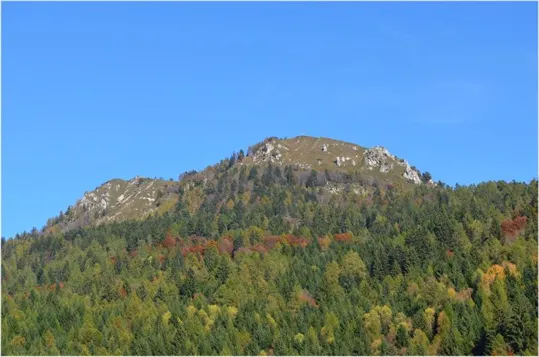 Il monte Durmont visto dal Paese di Pelugo