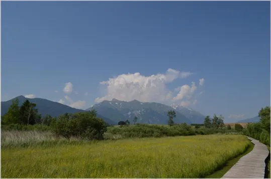 Passerella verso il museo