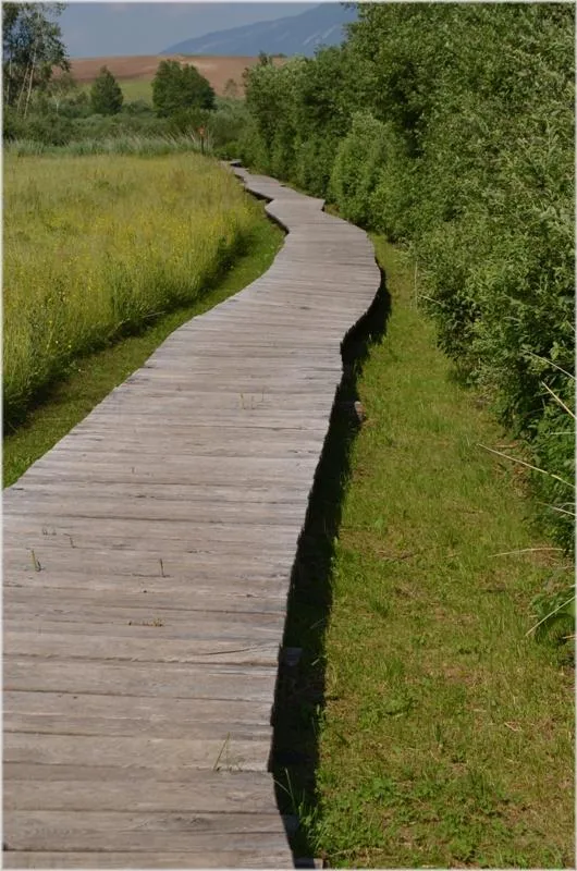 Passerella verso il museo