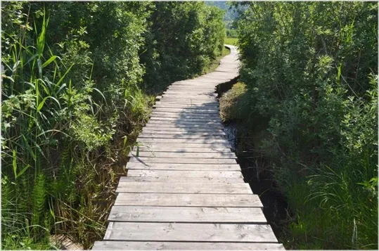 Passerella verso il museo