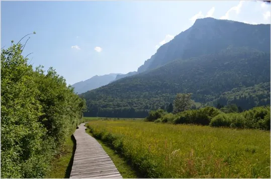 Passerella verso il museo