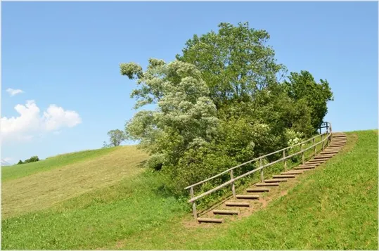 L'altro osservatorio