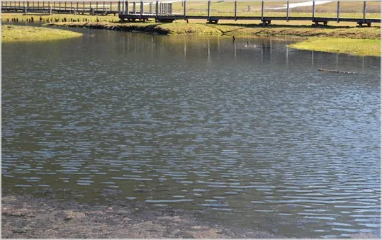 Le Palafitte di Fiavé