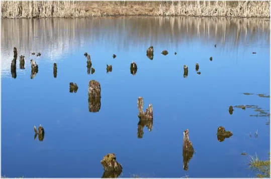 Le Palafitte di Fiavé