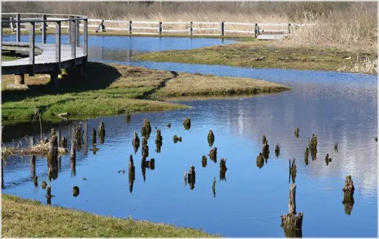 Le Palafitte di Fiavé