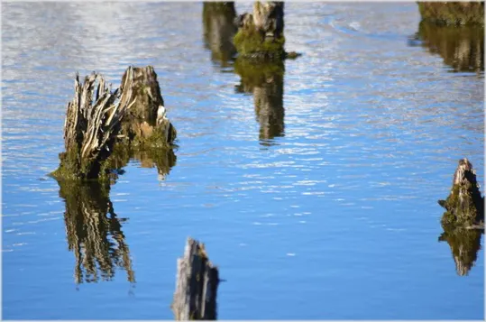 Le Palafitte di Fiavé