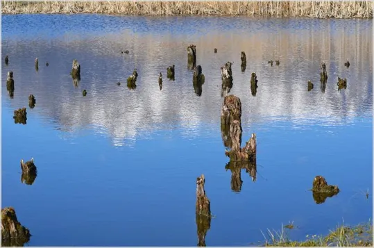 Le Palafitte di Fiavé