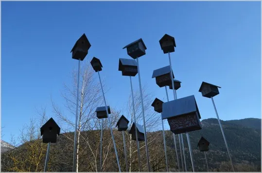 Casette per volatili