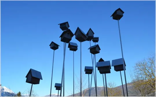 Casette per volatili