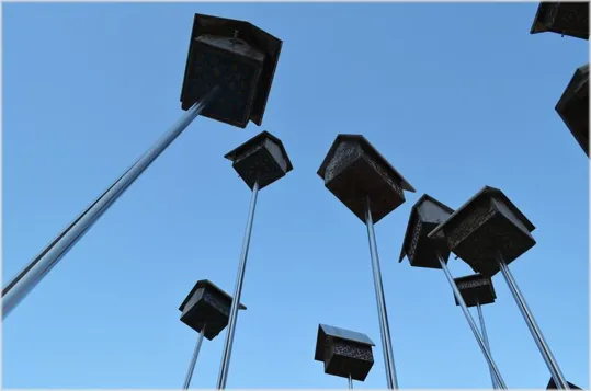 Casette per volatili