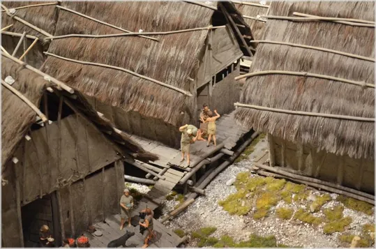 Particolari del plastico