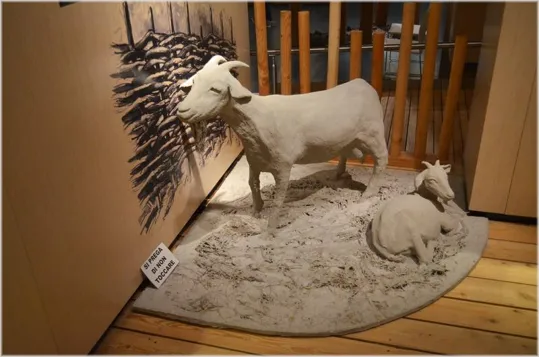 Attimi di quotidianità