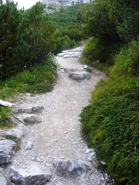 Locatelli - Sentiero nel mugheto