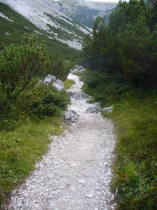 Locatelli - Sentiero nel mugheto