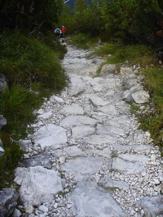 Locatelli - Sentiero nel mugheto