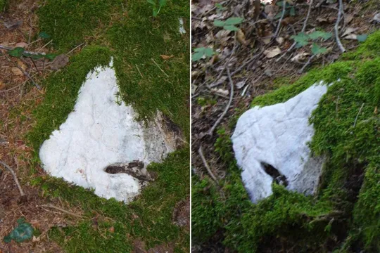 Altaburg - Strane incisioni