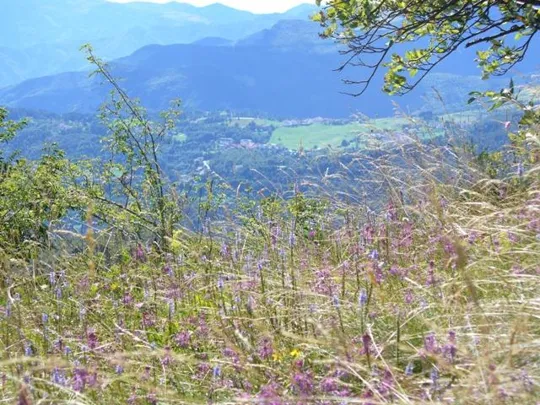 Altaburg - Tonezza...