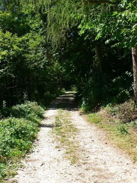 Altarknotto - Inizio della strada sterrata