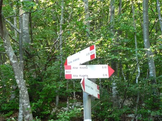 Altarknotto - Incrocio