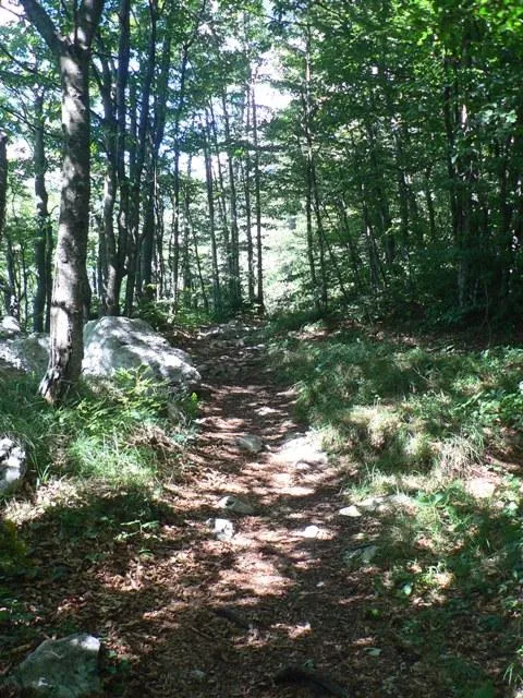 Altarknotto - Il sentiero