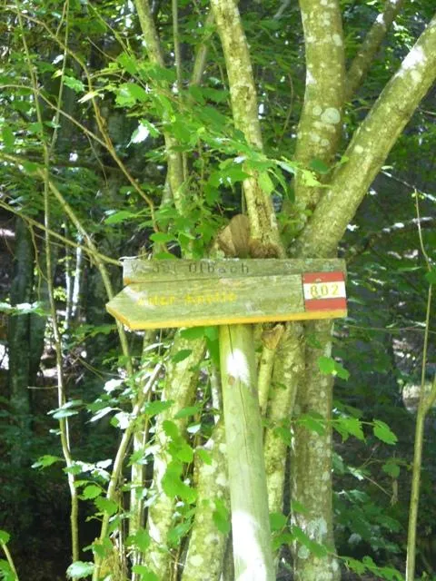 Altarknotto - Segnali