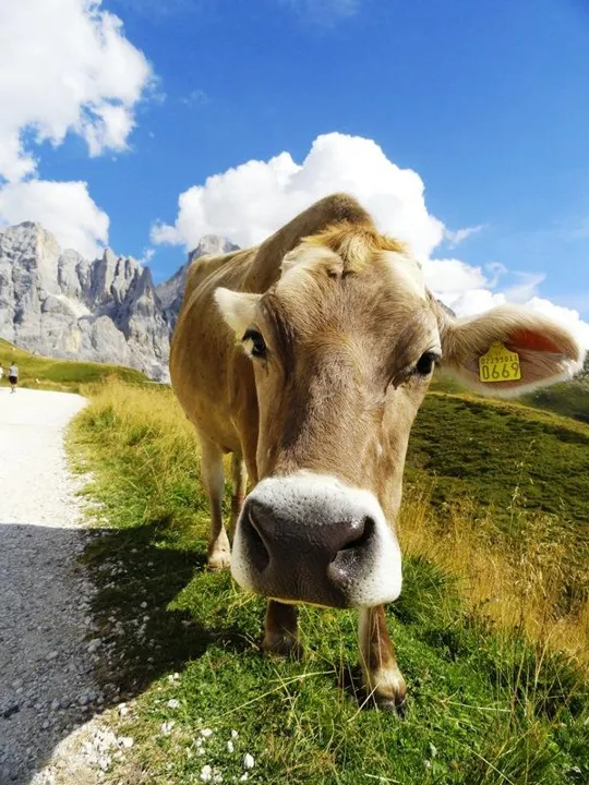 Incontri ravvicinati