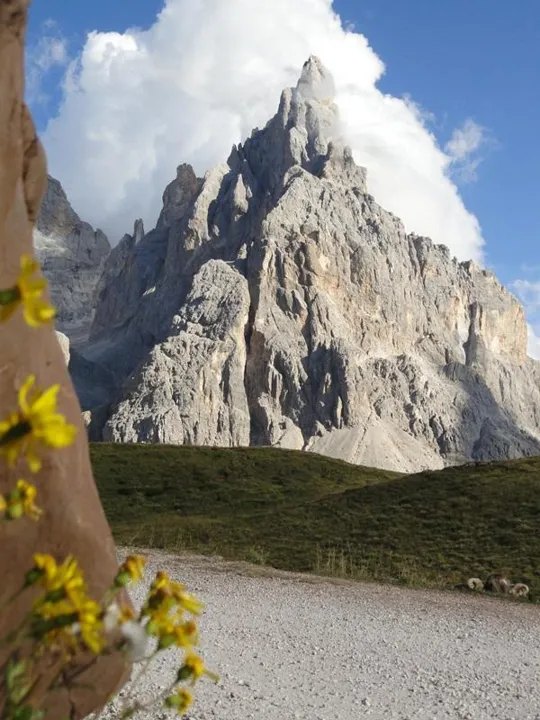 Cartolina da Baita Segantini