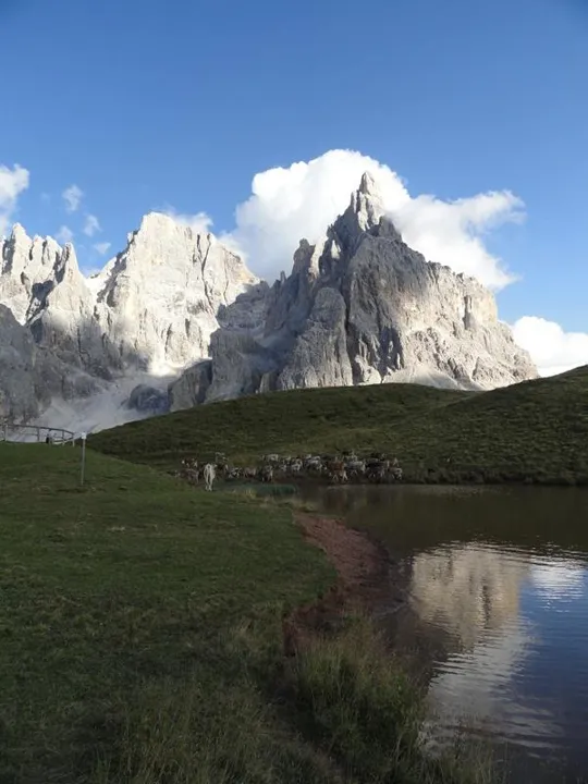 a sn Cima della Vezzana e a dx il Cimon della Pala
