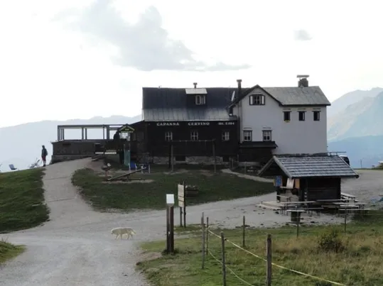 Rifugio Capanna Cervino