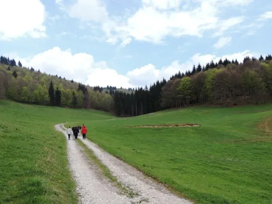 Biancoia Val Lastaro