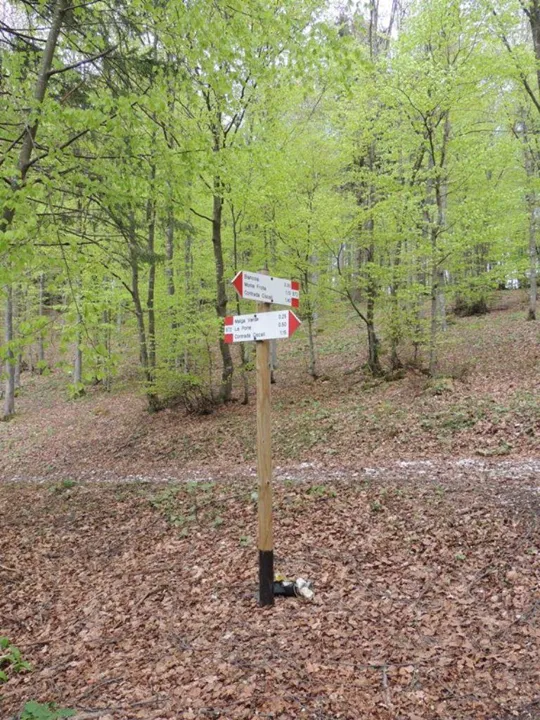 Biancoia Val Lastaro