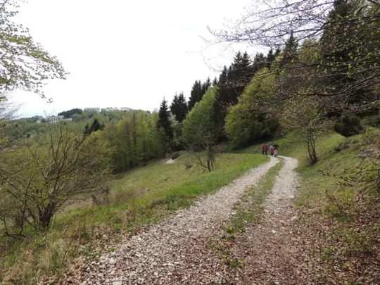 Biancoia Val Lastaro