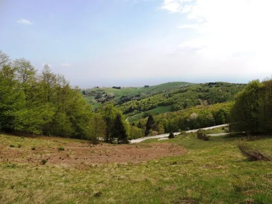 Scorcio dal sentiero