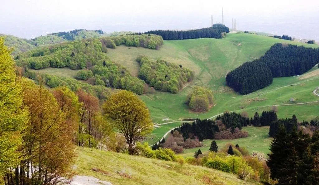 Da Biancoia al Monte Frolla - CAI 872