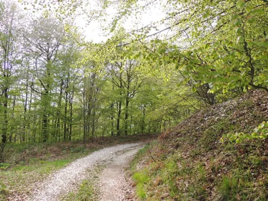 Biancoia Val Lastaro