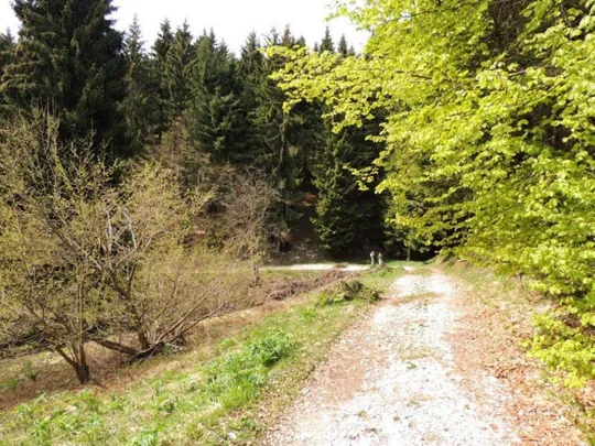 Biancoia Val Lastaro