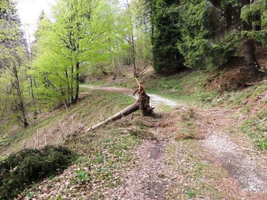 Biancoia Val Lastaro