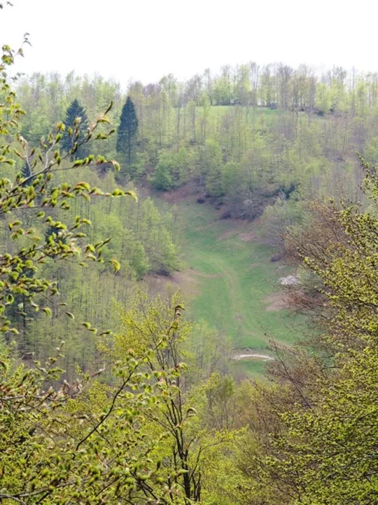 Biancoia Val Lastaro