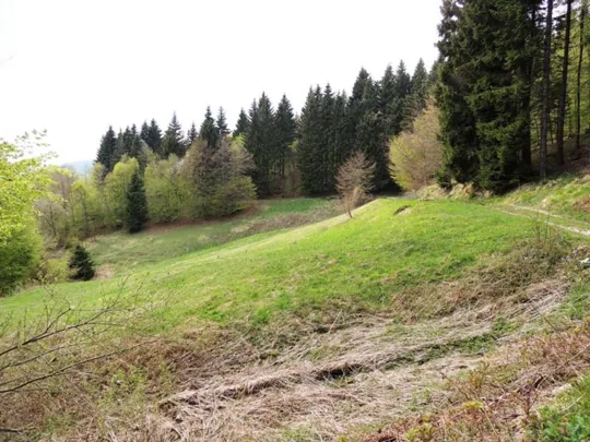 Alcuni scorci del Monte Malcroba