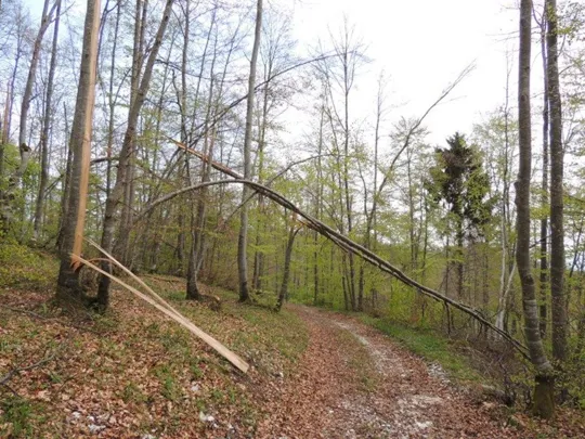 Biancoia Val Lastaro