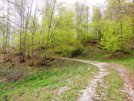 Biancoia Val Lastaro