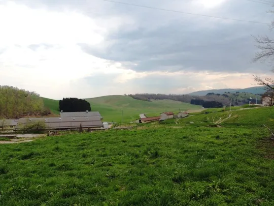 Il sentiero giunge alle spalle di Malga Verde
