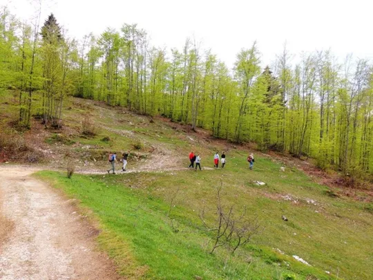 Biancoia Val Lastaro