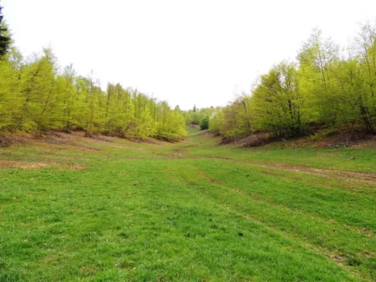 Valletta sul Monte Cogolin