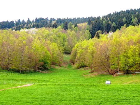 Solco vallivo sul Monte Malcroba