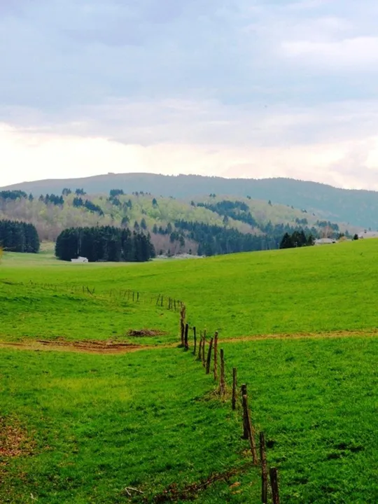 Biancoia Val Lastaro