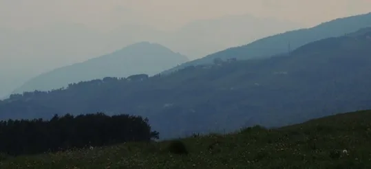 Sfumature dal monte Frolla