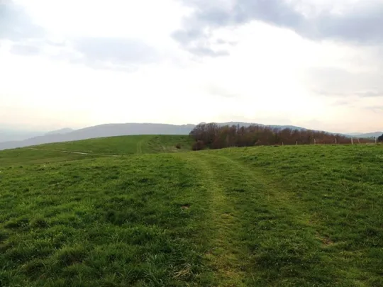 La cima del Monte Frolla