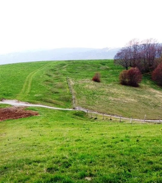 Segni delle trincee sul monte Frolla