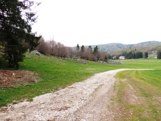 Biancoia Val Lastaro